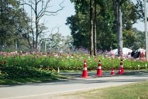 BIB: 
                            <button type="button" onclick="openModal(27608082)" class="btn btn-primary btn-sm float-right btn-popup" data-toggle="modal" data-target=".modal-high-quality">
                        <i class="fas fa-shopping-cart"></i> Add to Cart
                    </button>
                                            <button type="button" onclick="isThisMe(27608082, true)" class="btn btn-success btn-sm float-right btn-popup btn-isme hidden" data-toggle="tooltip" data-placement="bottom" title="นี่คือรูปของคุณใช่ไหม คลิกที่นี่เพื่อเอาเข้าอัลบั้ม">
                        <i class="fas fa-plus"></i> Add to album
                    </button>
                    <button type="button" onclick="isThisMe(27608082, false)" class="btn btn-warning btn-sm float-right btn-popup btn-isnotme hidden">
                        <i class="fas fa-ban"></i> Remove from album
                    </button>